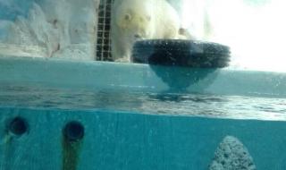 小梅沙海洋世界 小梅沙海洋世界